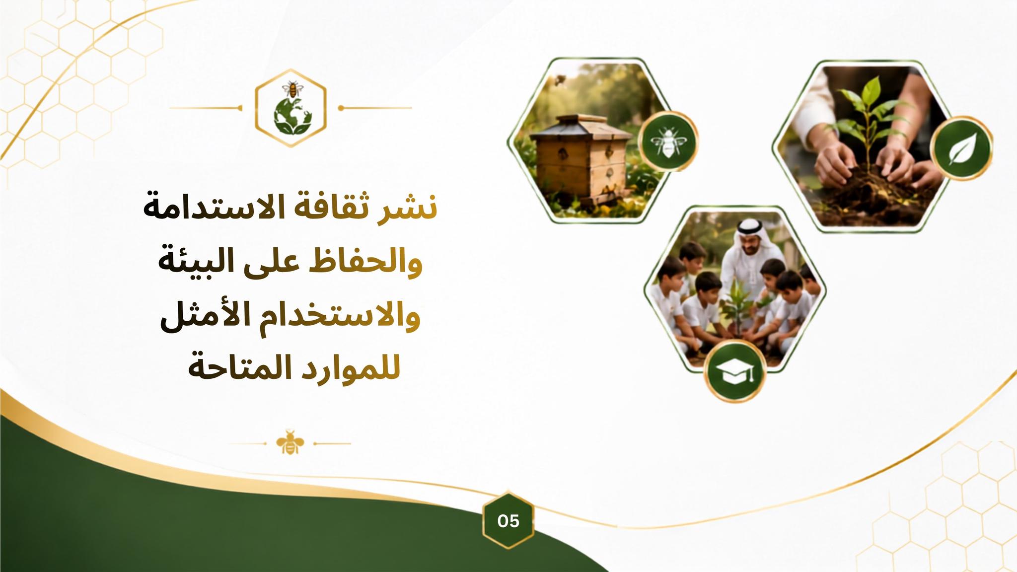 برامج الاستدامة وحماية البيئة